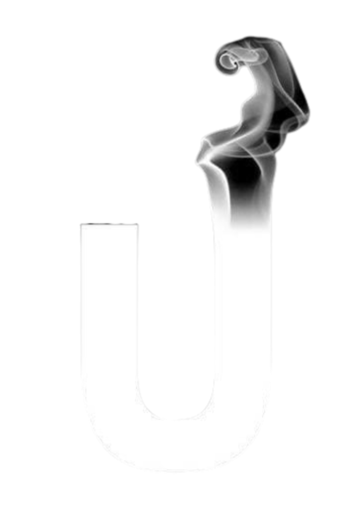 Usama Iqbal